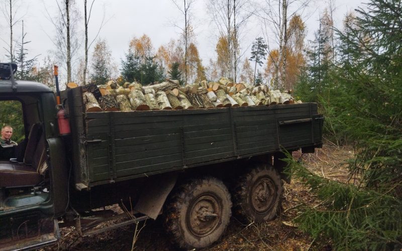 изображение_viber_2022-11-14_11-25-37-215